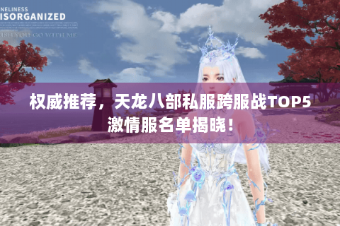 权威推荐，天龙八部私服跨服战TOP5激情服名单揭晓！