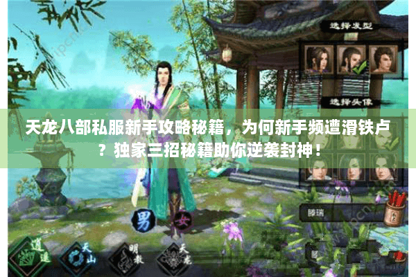天龙八部私服新手攻略秘籍，为何新手频遭滑铁卢？独家三招秘籍助你逆袭封神！