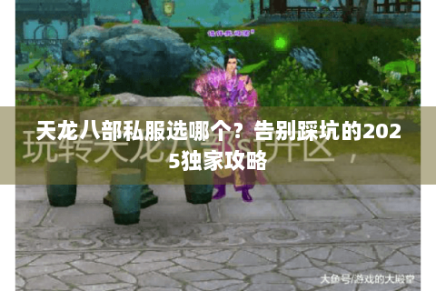 天龙八部私服选哪个？告别踩坑的2025独家攻略