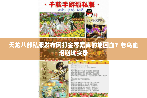 天龙八部私服发布网打金零氪真的能回血？老鸟血泪避坑实录