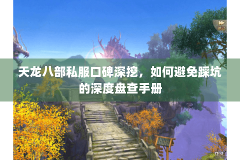 天龙八部私服口碑深挖，如何避免踩坑的深度盘查手册