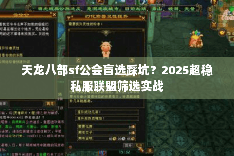 天龙八部sf公会盲选踩坑？2025超稳私服联盟筛选实战
