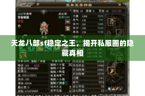 天龙八部sf稳定之王，揭开私服圈的隐藏真相