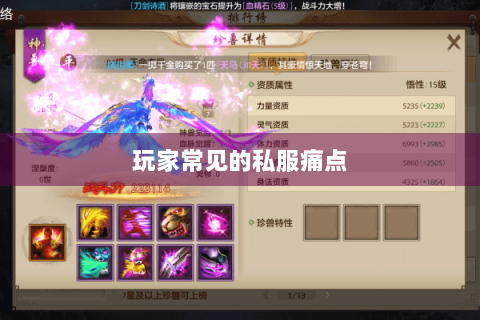 玩家常见的私服痛点