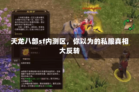 天龙八部sf内测区，你以为的私服真相大反转