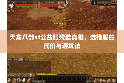 天龙八部sf公益服残酷真相，选错服的代价与避坑法