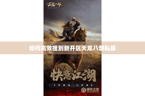 如何高效搜到新开区天龙八部私服