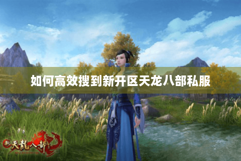 如何高效搜到新开区天龙八部私服