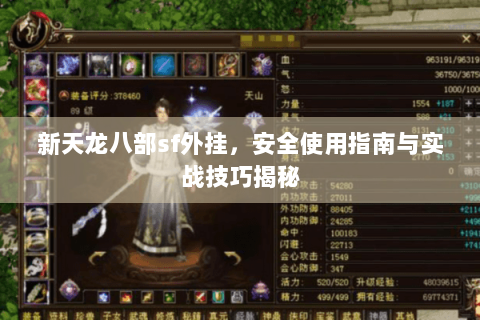 新天龙八部sf外挂，安全使用指南与实战技巧揭秘