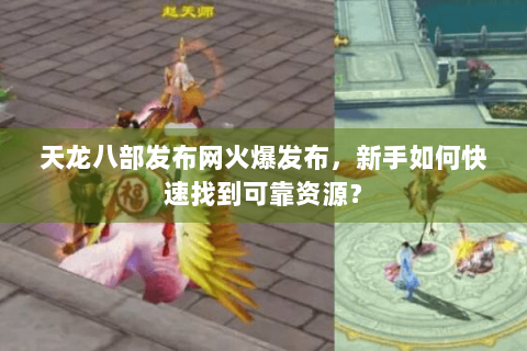 天龙八部发布网火爆发布，新手如何快速找到可靠资源？