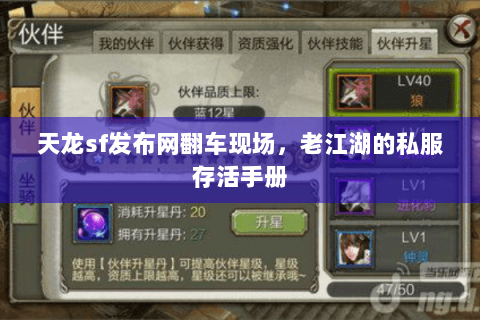 天龙sf发布网翻车现场，老江湖的私服存活手册