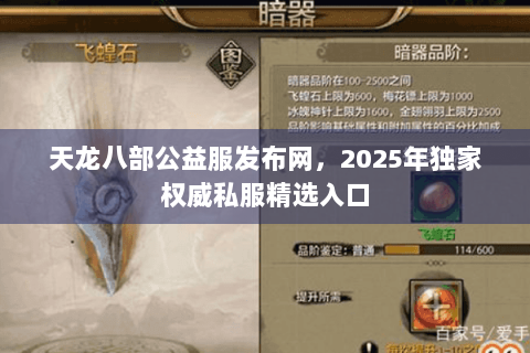天龙八部公益服发布网，2025年独家权威私服精选入口