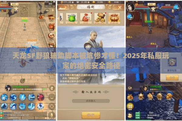天龙SF野狼辅助脚本被坑惨才懂！2025年私服玩家的绝密安全路径