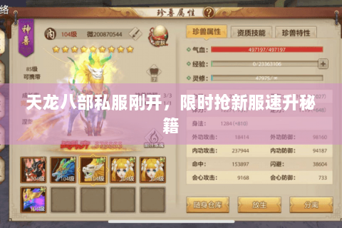 天龙八部私服刚开，限时抢新服速升秘籍