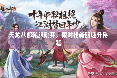 天龙八部私服刚开，限时抢新服速升秘籍
