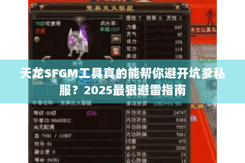 天龙SFGM工具真的能帮你避开坑爹私服？2025最狠避雷指南