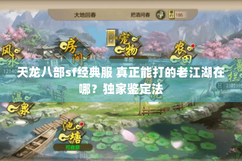 天龙八部sf经典服 真正能打的老江湖在哪？独家鉴定法