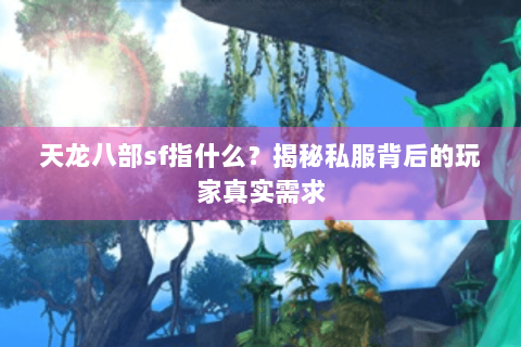 天龙八部sf指什么？揭秘私服背后的玩家真实需求