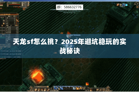 天龙sf怎么挑？2025年避坑稳玩的实战秘诀