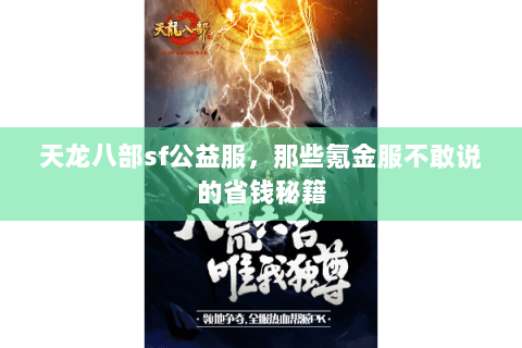 天龙八部sf公益服，那些氪金服不敢说的省钱秘籍