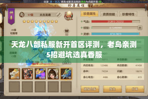 天龙八部私服新开首区评测，老鸟亲测5招避坑选真香服