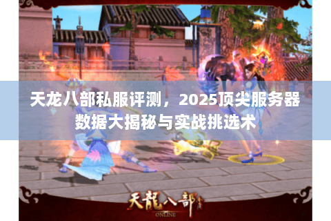 天龙八部私服评测，2025顶尖服务器数据大揭秘与实战挑选术
