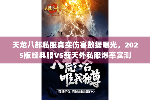 天龙八部私服真实伤害数据曝光，2025版经典服VS新天外私服爆率实测