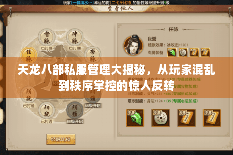 天龙八部私服管理大揭秘，从玩家混乱到秩序掌控的惊人反转