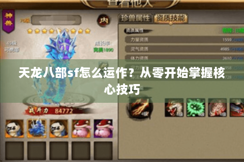 天龙八部sf怎么运作？从零开始掌握核心技巧