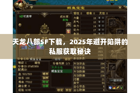 天龙八部SF下载，2025年避开陷阱的私服获取秘诀
