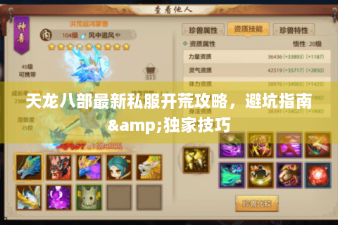 天龙八部最新私服开荒攻略，避坑指南&独家技巧