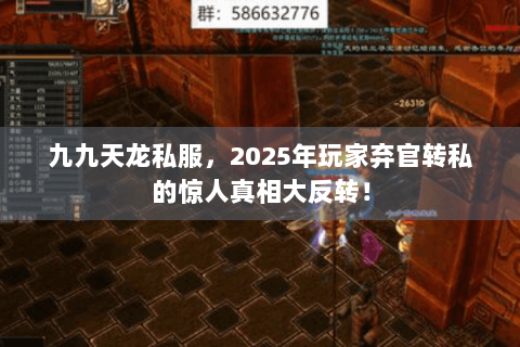九九天龙私服，2025年玩家弃官转私的惊人真相大反转！