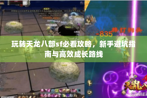 玩转天龙八部sf必看攻略，新手避坑指南与高效成长路线
