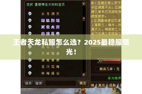 王者天龙私服怎么选？2025最稳服曝光！