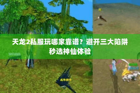 天龙2私服玩哪家靠谱？避开三大陷阱秒选神仙体验