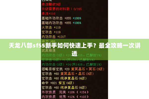 天龙八部sf55新手如何快速上手？最全攻略一次讲透