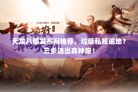 天龙八部发布网推荐，垃圾私服遍地？三步选出真神服！