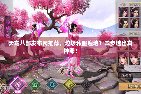 天龙八部发布网推荐，垃圾私服遍地？三步选出真神服！