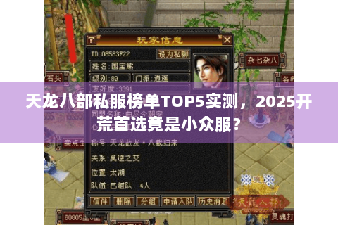 天龙八部私服榜单TOP5实测，2025开荒首选竟是小众服？