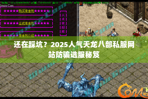还在踩坑？2025人气天龙八部私服网站防骗选服秘笈