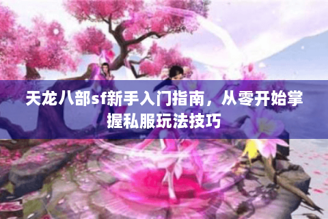 天龙八部sf新手入门指南,从零开始掌握私服玩法技巧 天龙八部sf新手入门指南,从零开始掌握私服玩法技巧