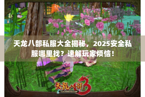 天龙八部私服大全揭秘，2025安全私服哪里找？速解玩家烦恼！