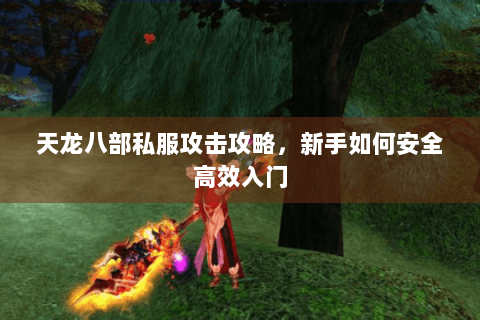 天龙八部私服攻击攻略，新手如何安全高效入门