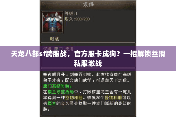 天龙八部sf跨服战，官方服卡成狗？一招解锁丝滑私服激战