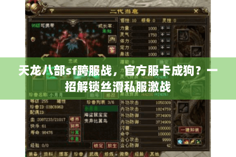 天龙八部sf跨服战，官方服卡成狗？一招解锁丝滑私服激战