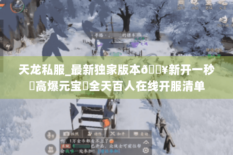 天龙私服_最新独家版本🔥新开一秒⚡高爆元宝▷全天百人在线开服清单