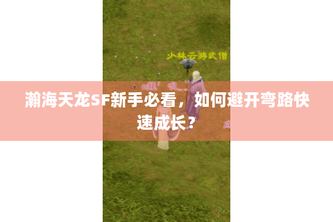 瀚海天龙SF新手必看，如何避开弯路快速成长？