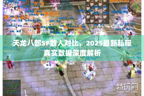 天龙八部SF散人对比，2025最新私服真实数据深度解析