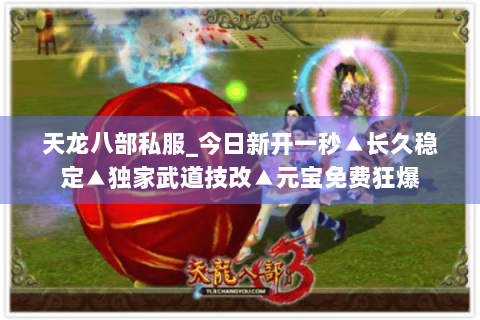 天龙八部私服_今日新开一秒▲长久稳定▲独家武道技改▲元宝免费狂爆