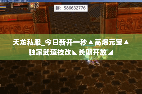 天龙私服_今日新开一秒▲高爆元宝▲独家武道技改◣长期开放◢